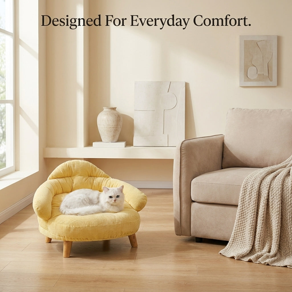 Cat resting in the Corduroy Lounge Cat Bed beside a sofa