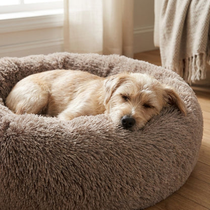 Dog curled up asleep inside the CozyNest Cuddler Dog Bed