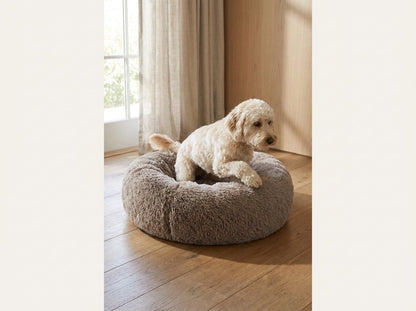 Dog stepping into the CozyNest Cuddler Dog Bed near a sunlit window