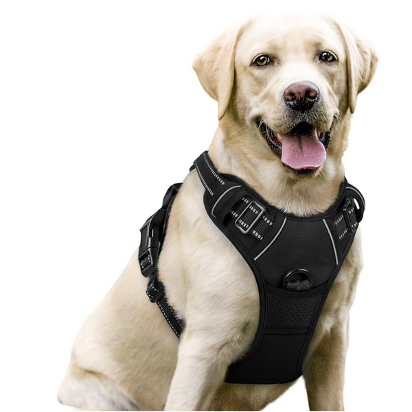 ComfortFit No-Pull Dog Harness worn by a dog