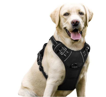 ComfortFit No-Pull Dog Harness worn by a dog