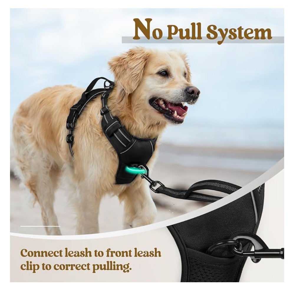 ComfortFit No-Pull Dog Harness - front-clip no-pull system in use