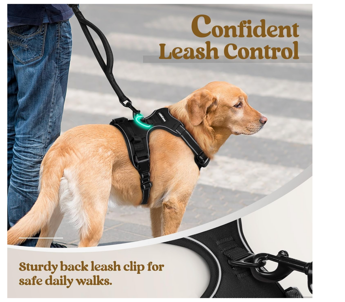 ComfortFit No-Pull Dog Harness - back-clip leash control in use