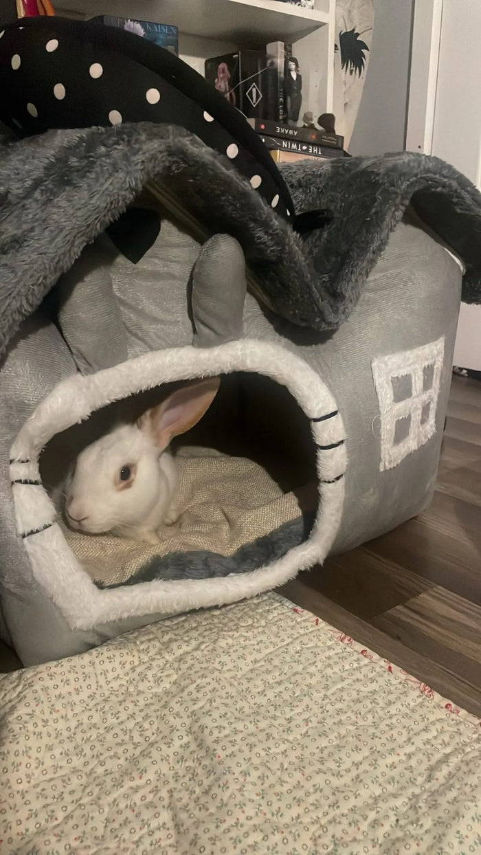 PAWLIGARCH customer review photo - pawligarch-cozy-cottage-review-amber-j-rabbit-1